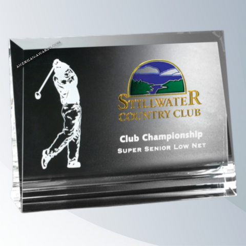 6293 | Crystal Hobart Award