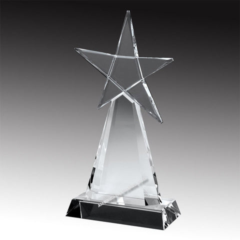 E2956 Evolving Star Crystal Award